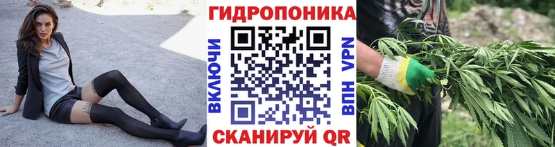 Виды наркоты Рудня Бутират ГАШ Alpha PVP Канабис Кокаин