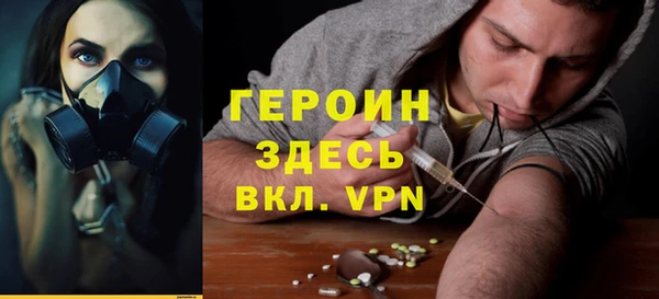 индика Елабуга