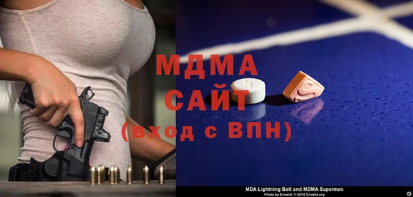 индика Елабуга