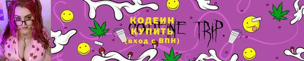 индика Елабуга