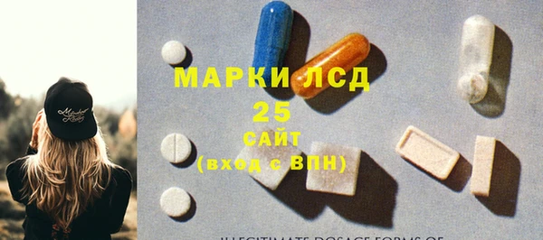индика Елабуга