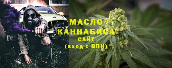 индика Елабуга
