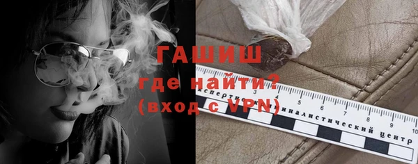 индика Елабуга