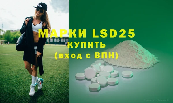 индика Елабуга