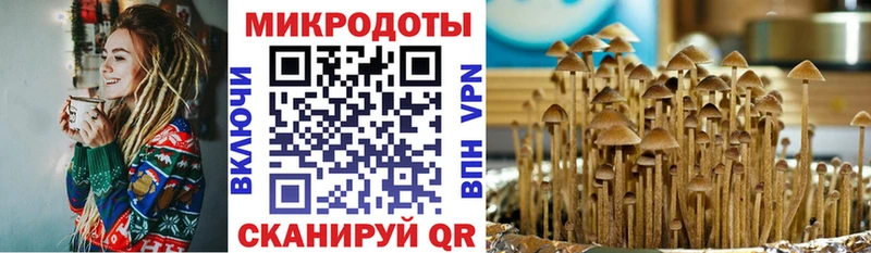 Псилоцибиновые грибы прущие грибы Рудня